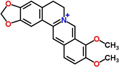 Berberine: Botanical Occurrence, Traditional Uses, Extraction Methods, and Relevance in Cardiovascular, Metabolic, Hepatic, and Renal Disorders